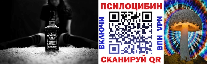 купить наркотик  Алдан  Псилоцибиновые грибы Magic Shrooms 
